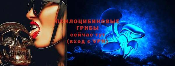 дурь Абаза