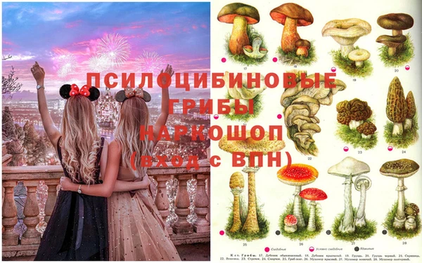 ALPHA PVP Абинск